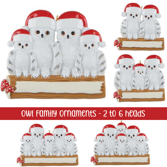 *** Pre-Order *** 2025 Owl Family Christmas Ornament